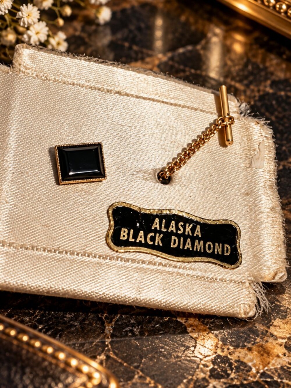 Vintage Alaska Black Diamond Gold Tone Tie Tack Lapel Pin